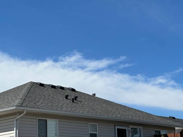 Best Skylight Installation and Repair  in Wmette, IL